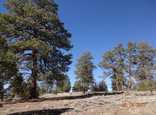 100 Panther, Vanderwagen, NM 87326