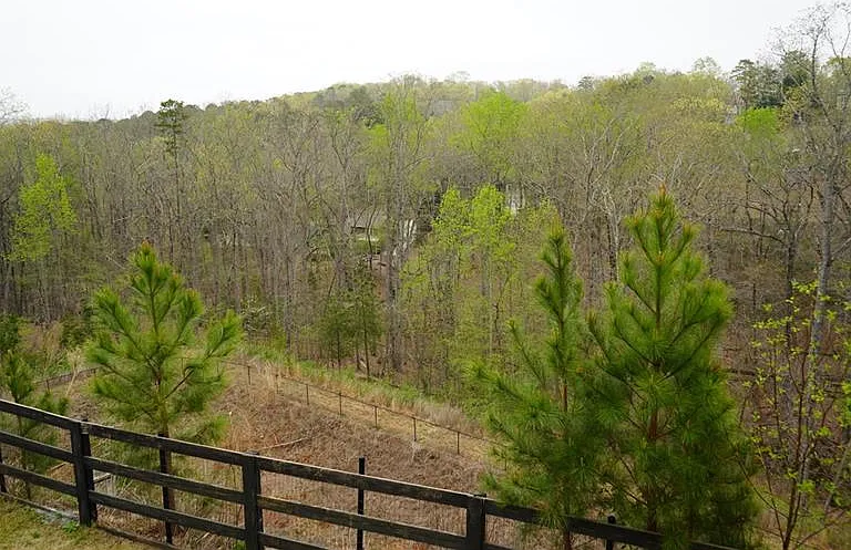 2005 Manor Pointe Dr — Photo 15