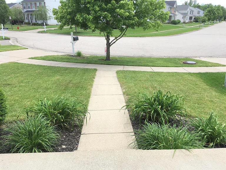 View from front