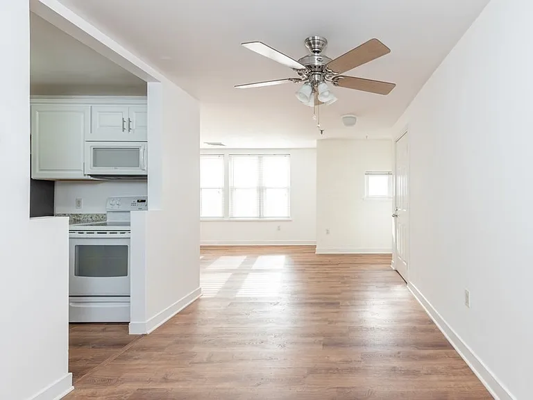 126 Tudor St #F — Photo 3