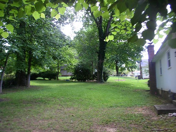 backyard (fenced)