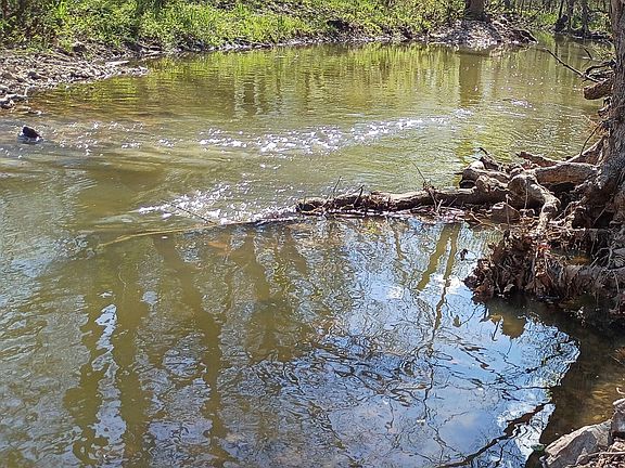 4th image of 16 E 270th Rd