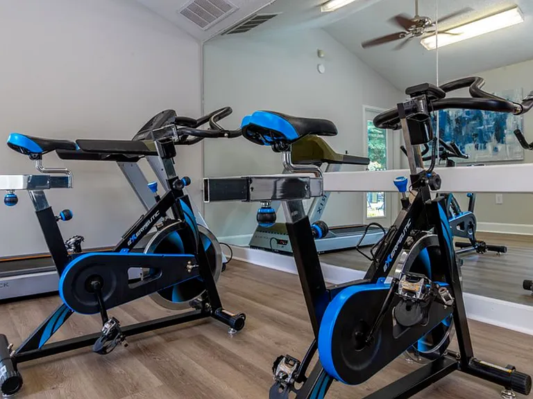 Spin Bikes