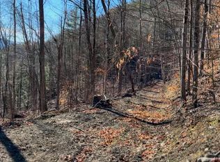 0 Gorge Road, Middleburgh, NY 12122