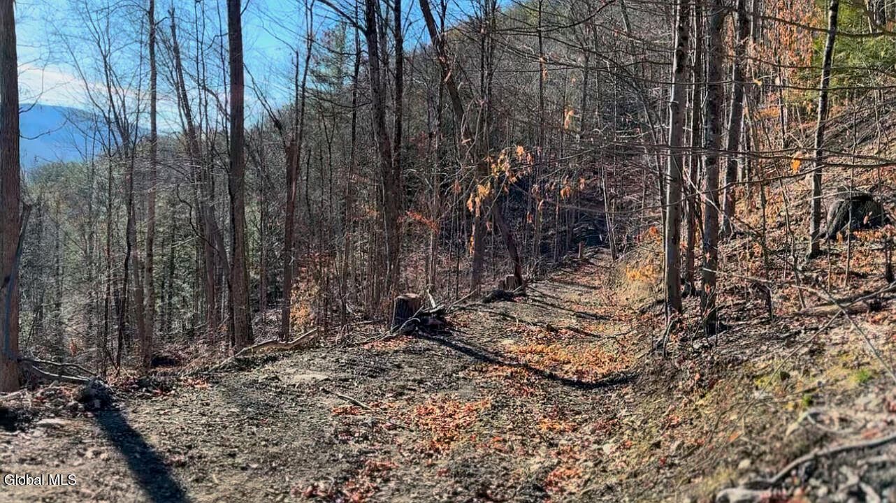 1st image of 0 Gorge Road