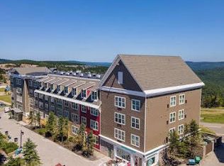 331 Expediton Sta, Snowshoe, WV 26209