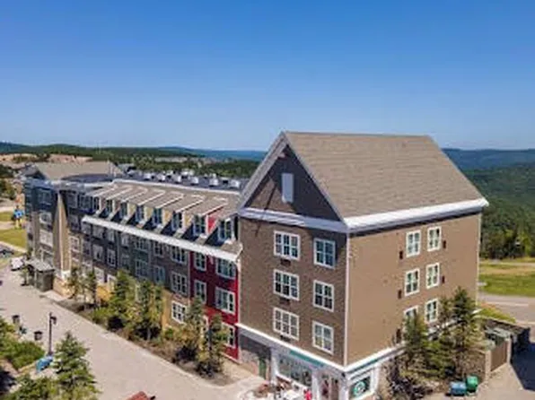 331 Expediton Sta, Snowshoe, WV 26209