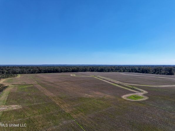 2088 Swamp Ln, Hazlehurst, MS 39083