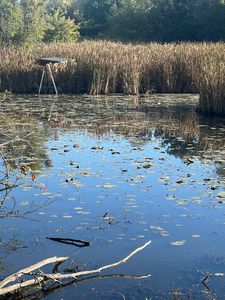 35506 N Helendale Rd, Ingleside, IL, 60041