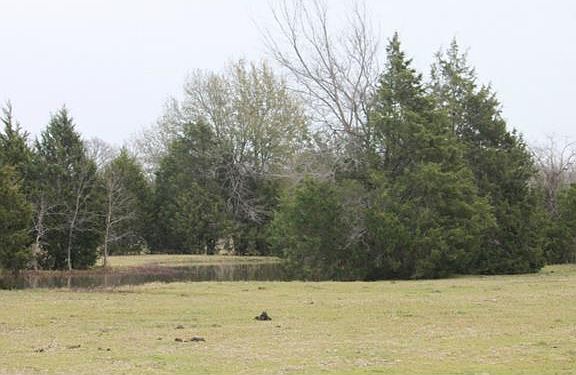 2nd image of 101 NE County Road 2240