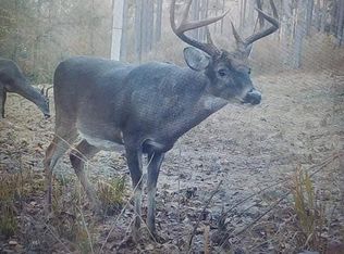 128 Franklin St, Abbeville, AL 36310