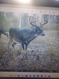 128 Franklin St, Abbeville, AL, 36310