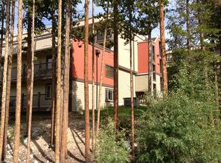 9339 State Highway 9, Breckenridge, CO 80424