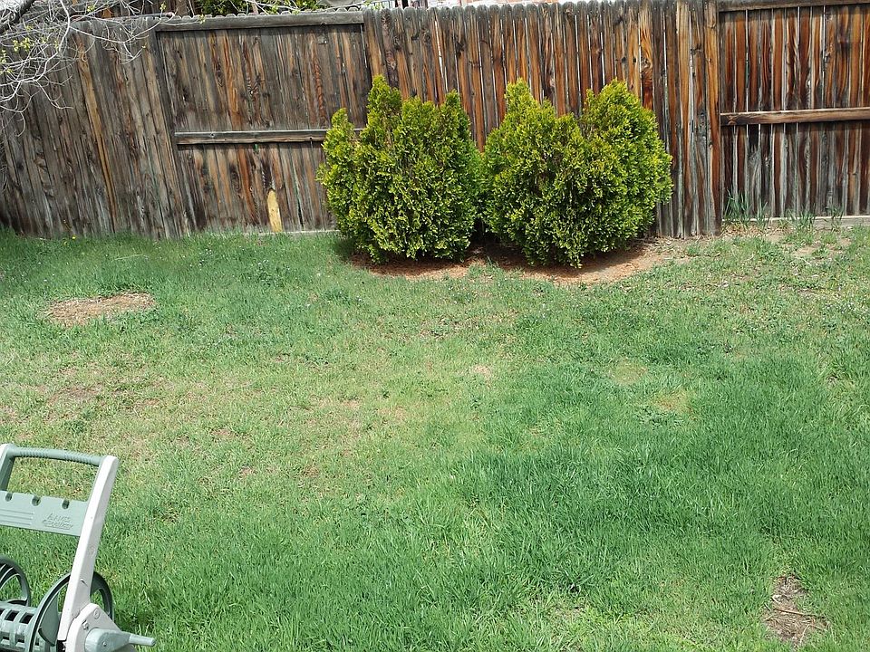 Private Fenced in Yard