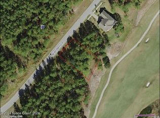 20044 English Walnut Pl, Brooksville, FL 34601