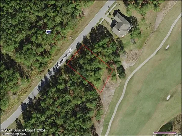 20044 English Walnut Pl, Brooksville, FL 34601