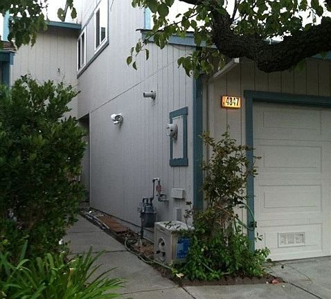 5th image of 4847 Starflower Dr