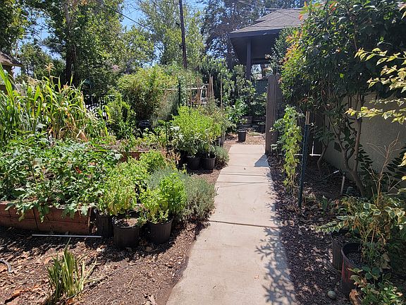 front garden