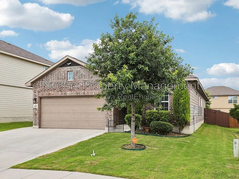 1807 Golden Maple — Photo 3
