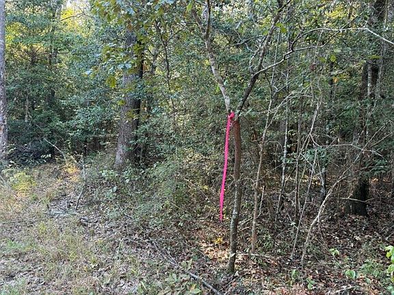 2nd image of 0 Woods Rd