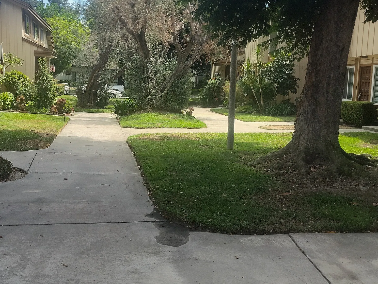 Karmont Ave, South Gate — Photo 3