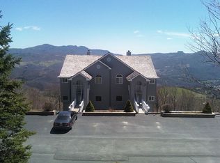 510 Elderberry Ridge Rd APT E101, Beech Mountain, NC 28604