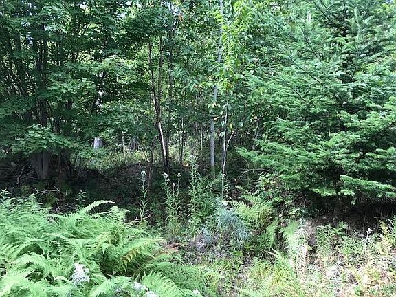 4th image of Lake Fanning Rd Lot 2