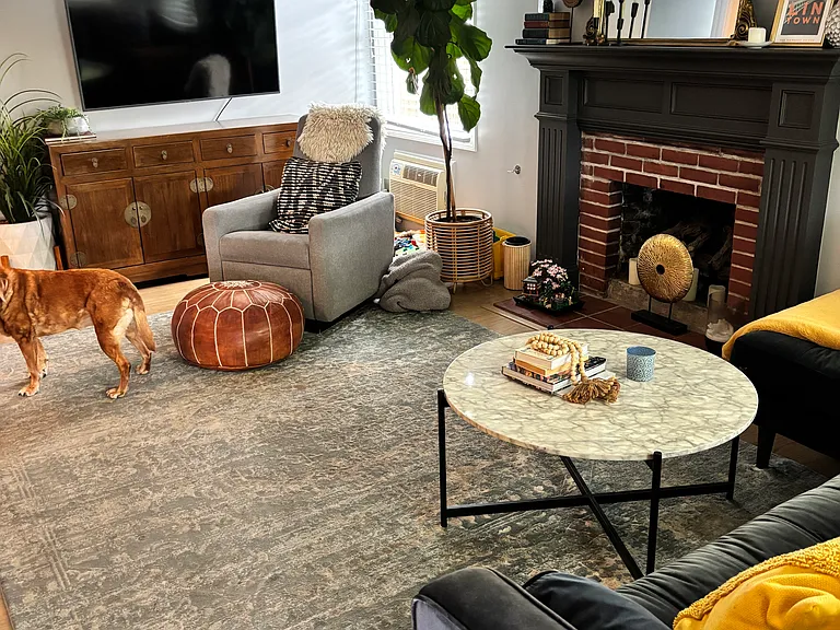 172 Wisteria Dr — Photo 9