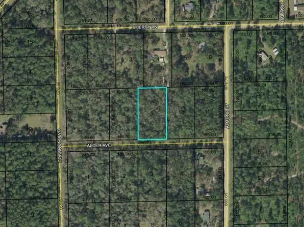 6296 Alder Ave, Bunnell, FL 32110