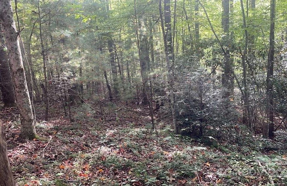 2nd image of 2758 Gouges Creek Rd