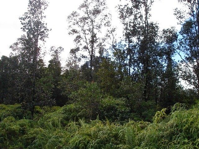 1st image of LOT 7172nd
