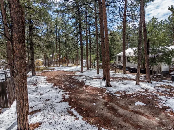 9231 Curtis Road, Larkspur, CO 80118