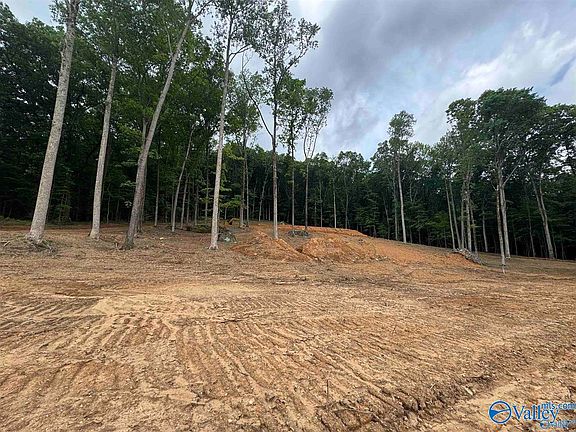 2nd image of LOT 6 County Road 114
