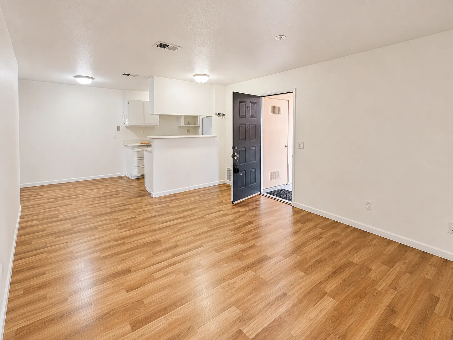 8201 Camino Colegio Dr — Photo 4