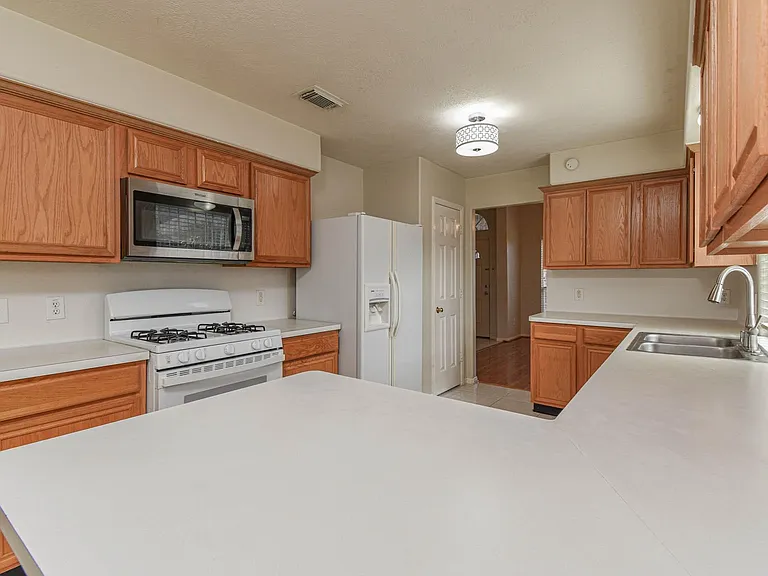 13735 Branford Greens Dr — Photo 2