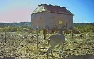 1st image of 0 State Highway 189 Frst #934-2313
