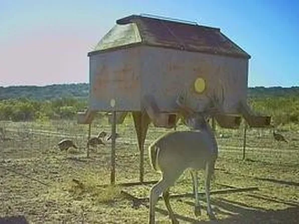 0 State Highway 189 Frst #934-2313, Sonora, TX 76950