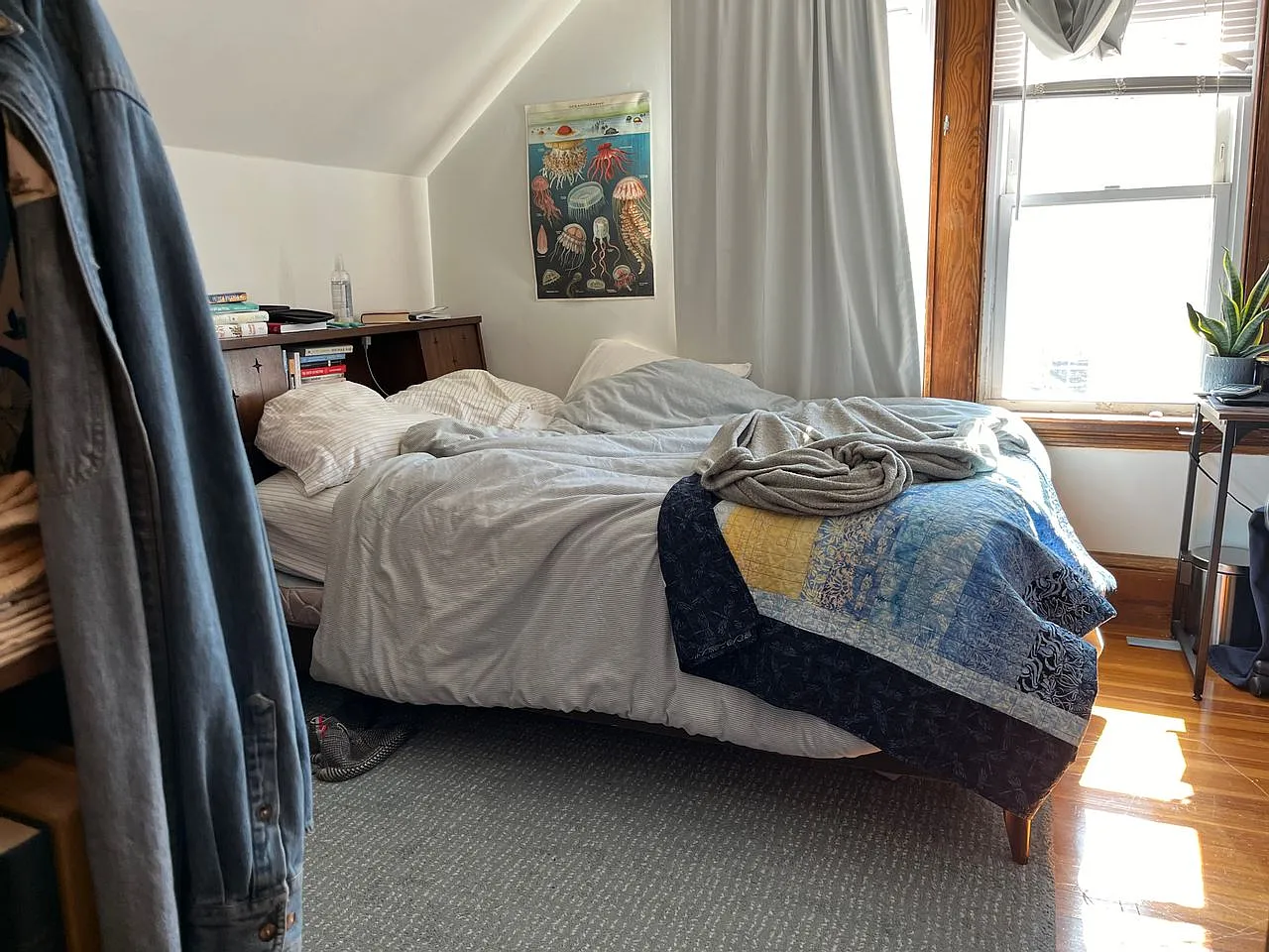 West Somerville / Tufts University area, 4 bedroom, 1 — Photo 2