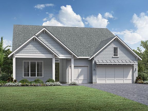 Shingle Transitional