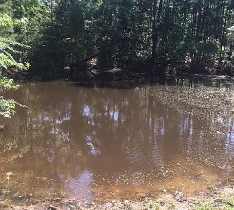 4th image of 1029 Fm 3052 N