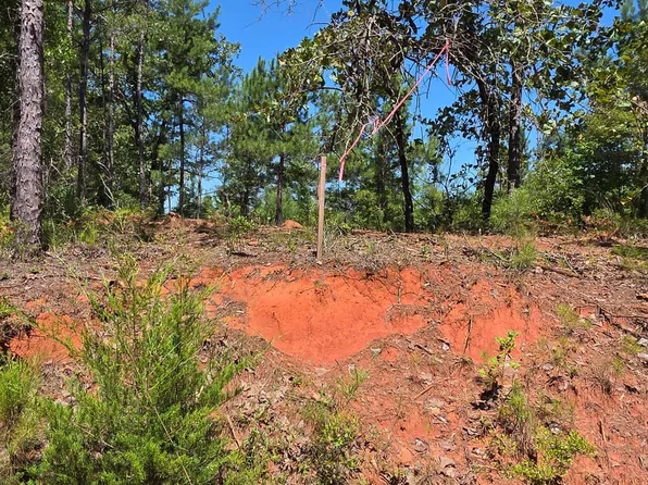 1 Perry Luckie Rd, Greenville, AL 36037