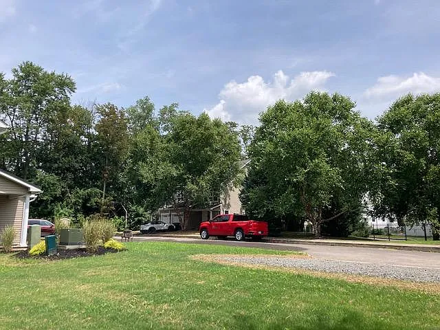 14 Northwood St — Photo 15
