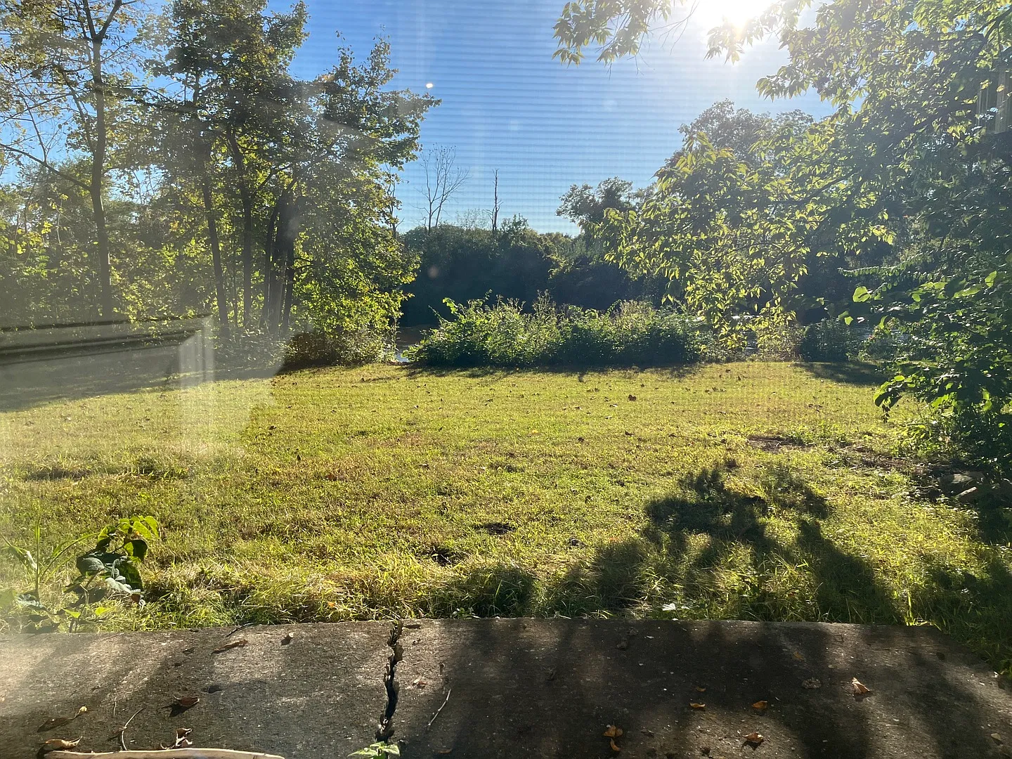 2 bed, 820 sqft, $1,600 — Photo 3