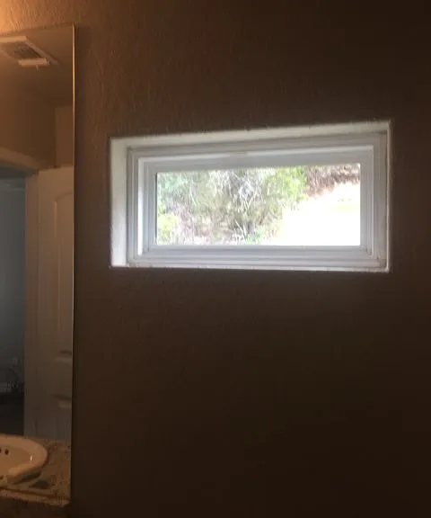 bathroom window