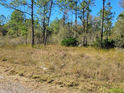 712 Gaylord Ave S, Lehigh Acres, FL, 33974