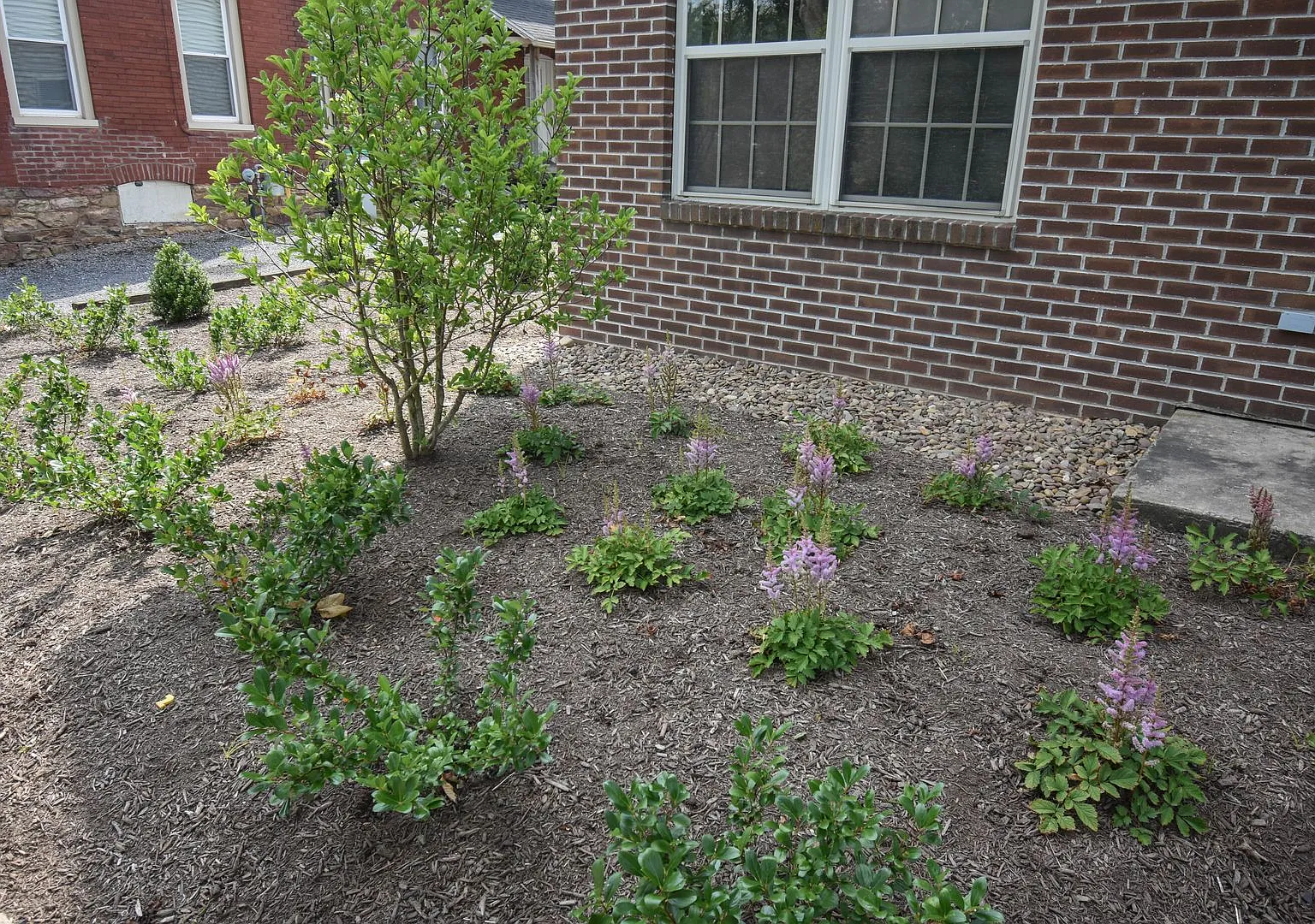 MT372 — Photo 3
