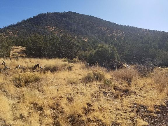 3rd image of 2894 E Overlook Dr