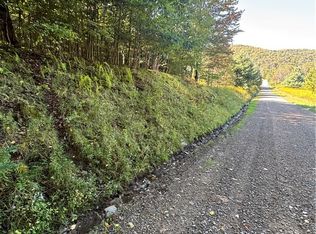 1235 Kansas Hollow Rd #30, Bolivar, NY 14715