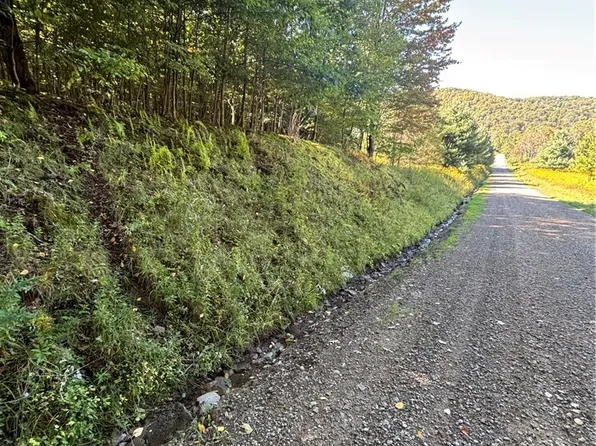 1235 Kansas Hollow Rd #30, Bolivar, NY 14715