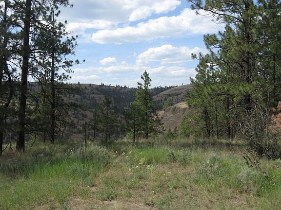 4th image of Overlook Dr
